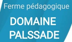 dromadaire chameau ferme pedagogique